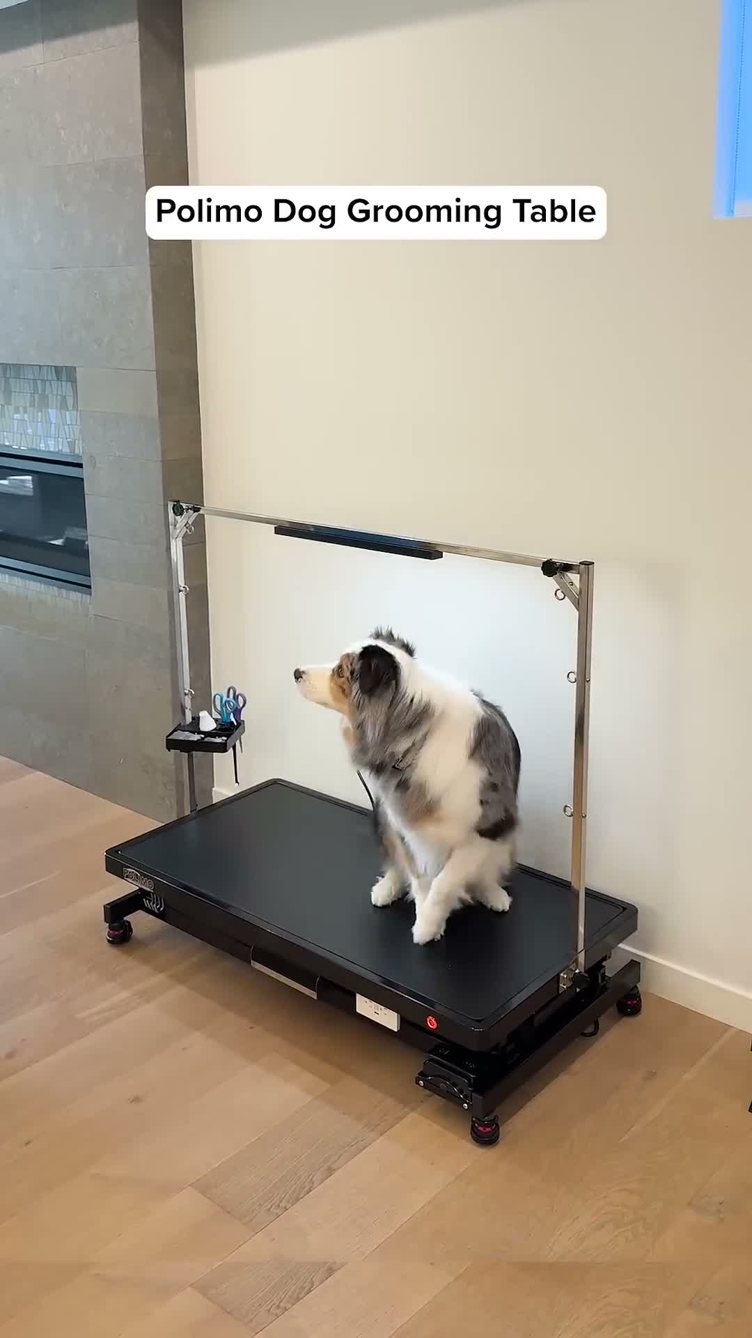 Flying Pig Heavy Duty Electric Motorized Pet Grooming Table thumbnail