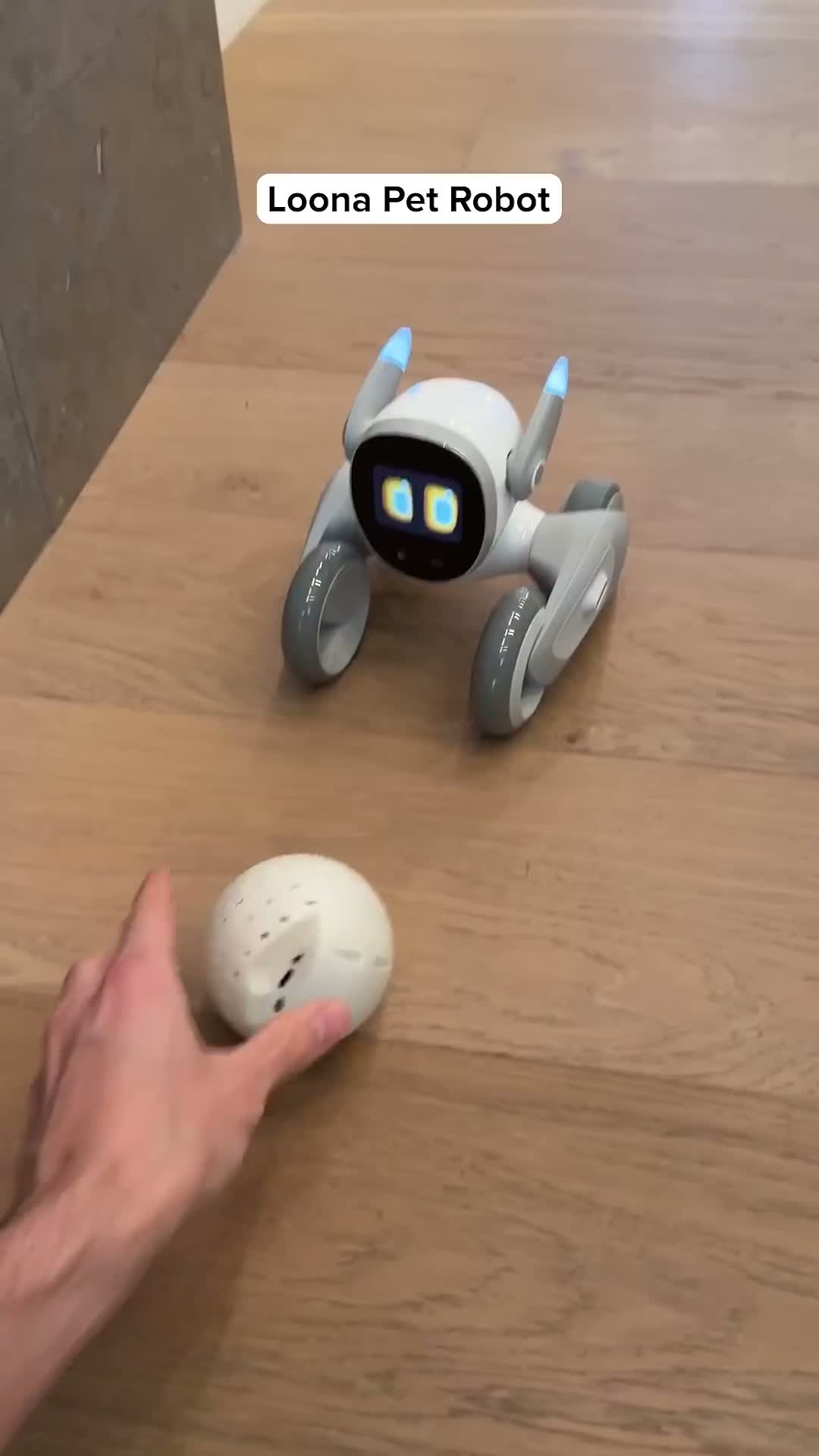 Unitree Go2 Smart Quadruped AI Robot Dog thumbnail